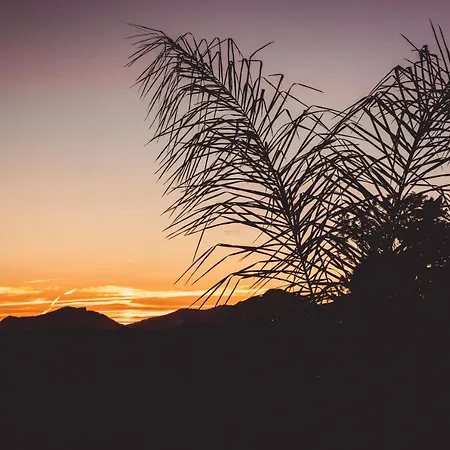 A 500m De La 度假居