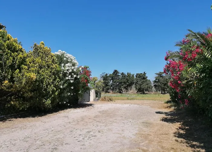 Dom wakacyjny A 500m De La *